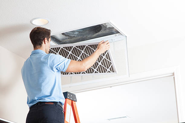 Best Local HVAC companies  in Frederickson, WA